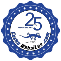 Gecko Websites 25th Anniversary Logo Gecko Websites 25th Anniversary Logo