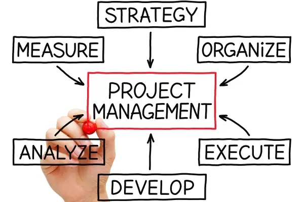Project Management with Gecko Websites